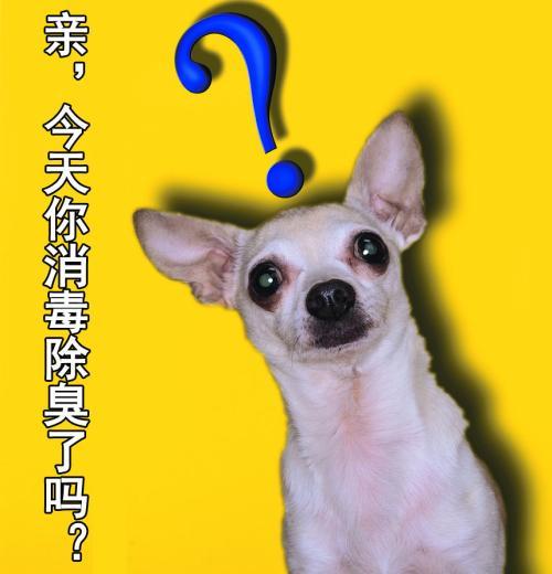 家有愛(ài)寵，怎樣挑選寵物消毒液主子才不會(huì)生氣？干貨分享【漓峰】